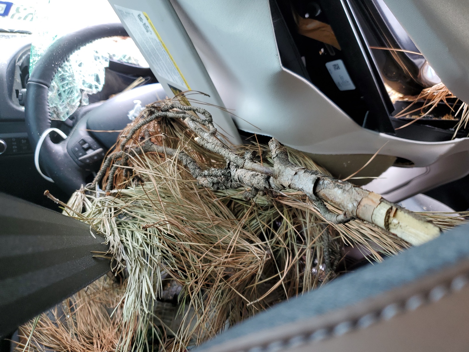 3FMCR9C68PRD21104 2023 Ford Bronco Sport Outer Banks