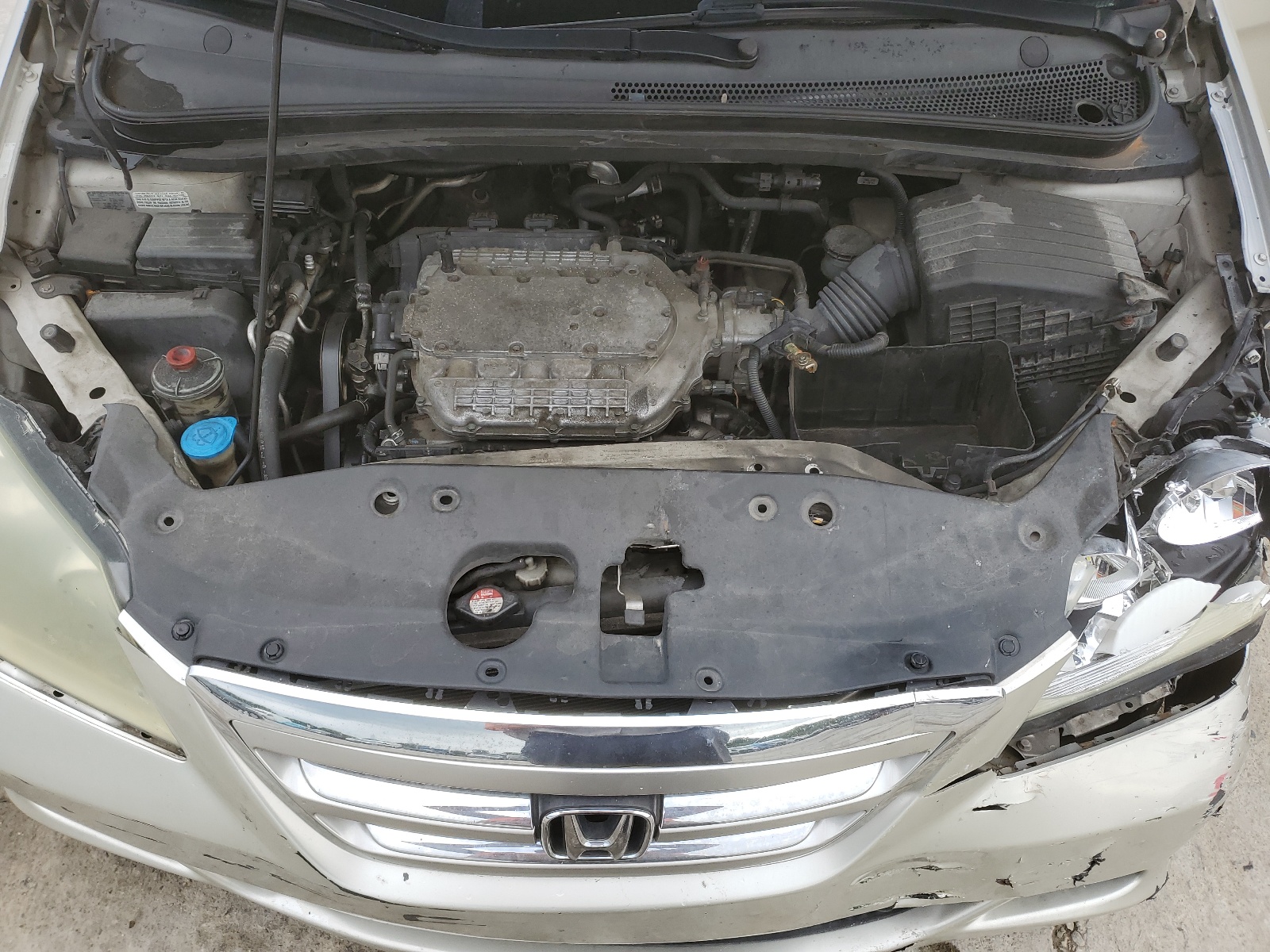 5FNRL387X6B033258 2006 Honda Odyssey Exl