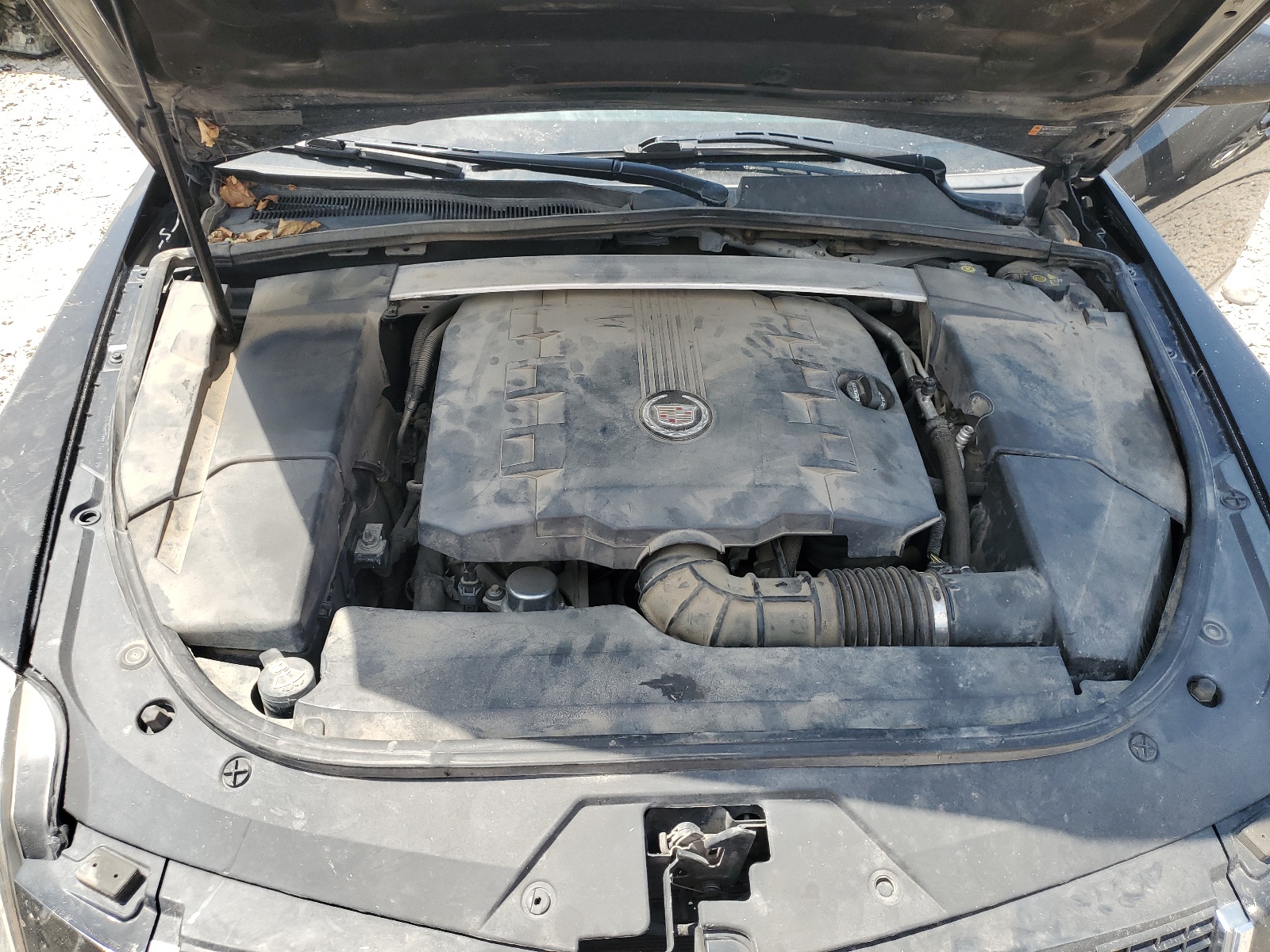 1G6DE5E55D0161618 2013 Cadillac Cts Luxury Collection