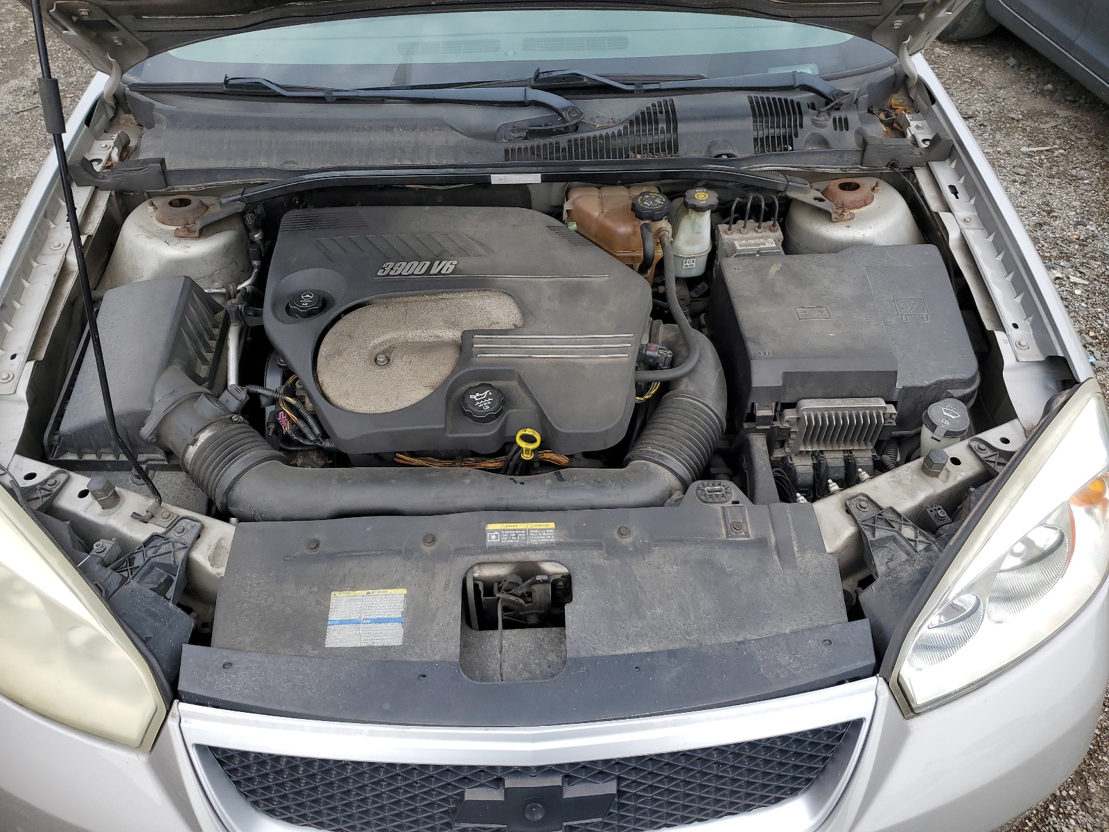 1G1ZW63126F248780 2006 Chevrolet Malibu Maxx Ss