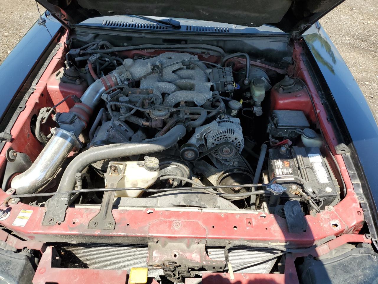 2000 Ford Mustang VIN: 1FAFP4047YF281664 Lot: 61510954