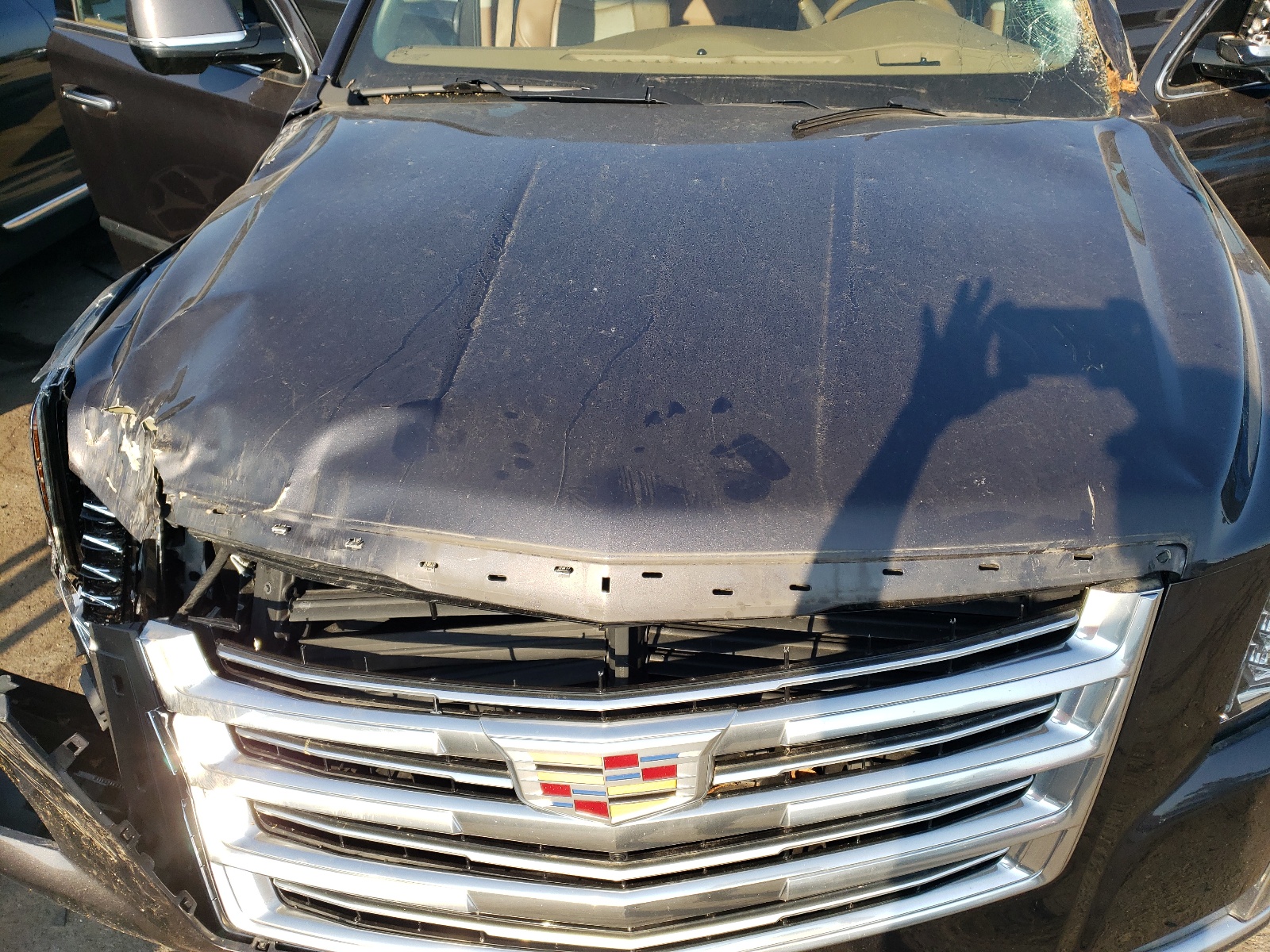 1GYS4PKJ9FR556933 2015 Cadillac Escalade Platinum