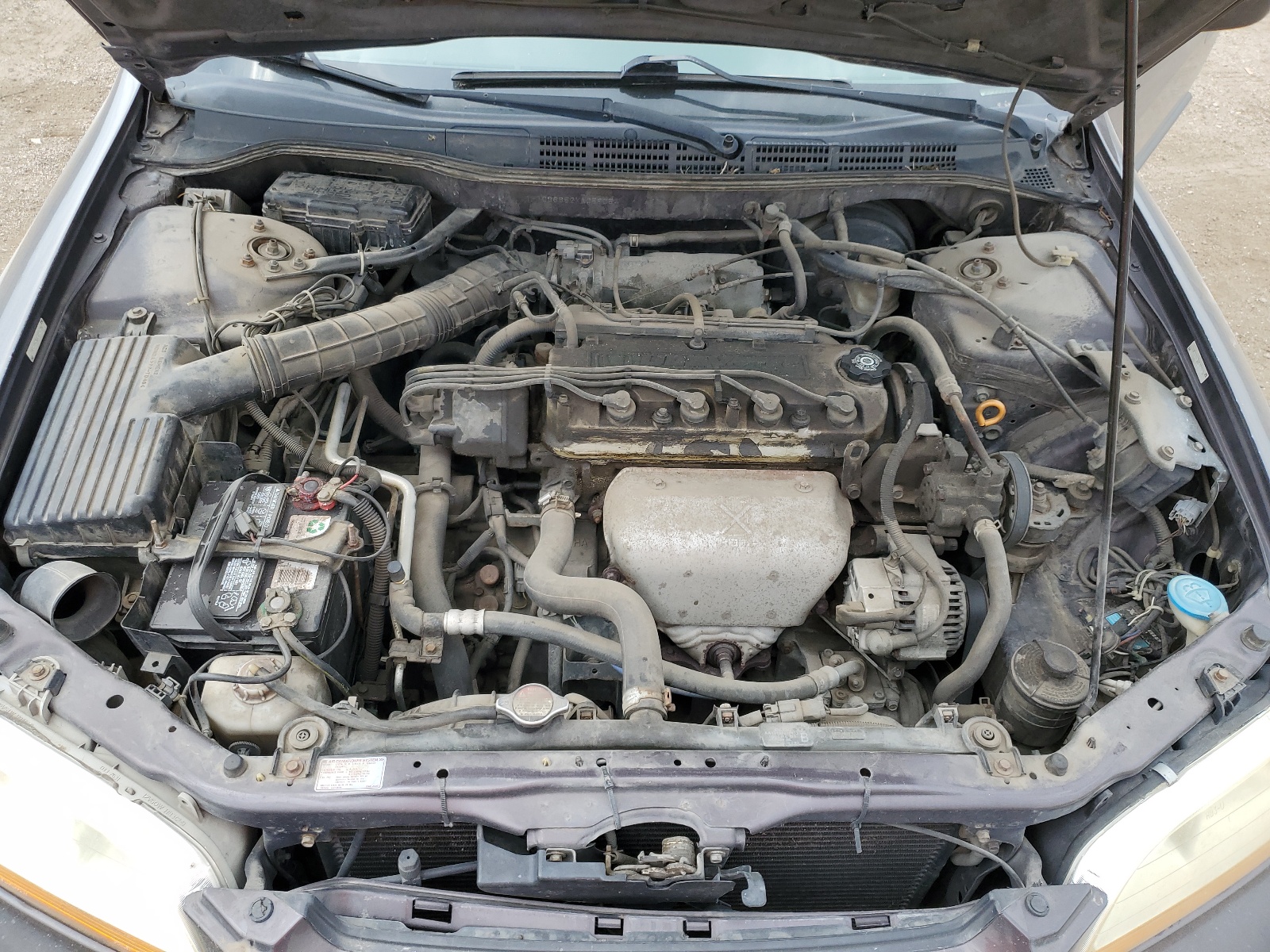 1HGCG6652XA059054 1999 Honda Accord Lx