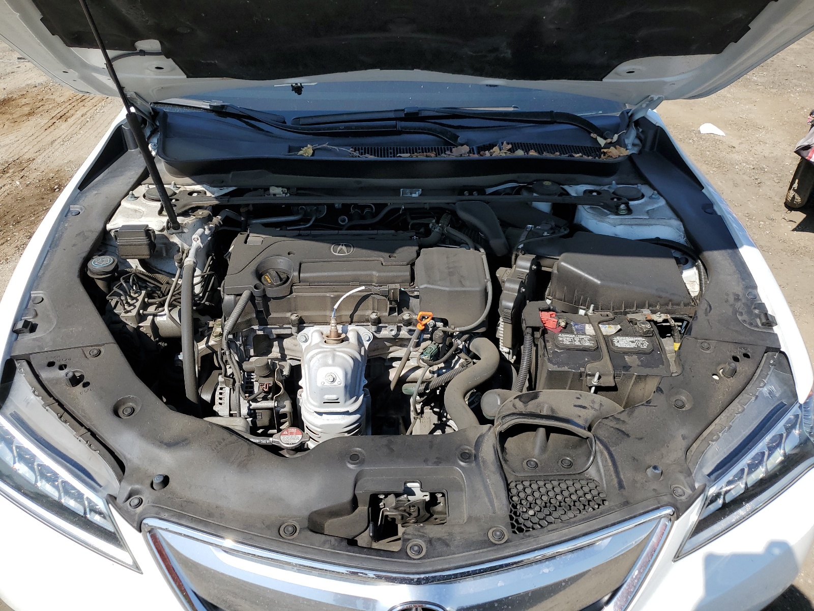 19UUB1F53FA021062 2015 Acura Tlx Tech