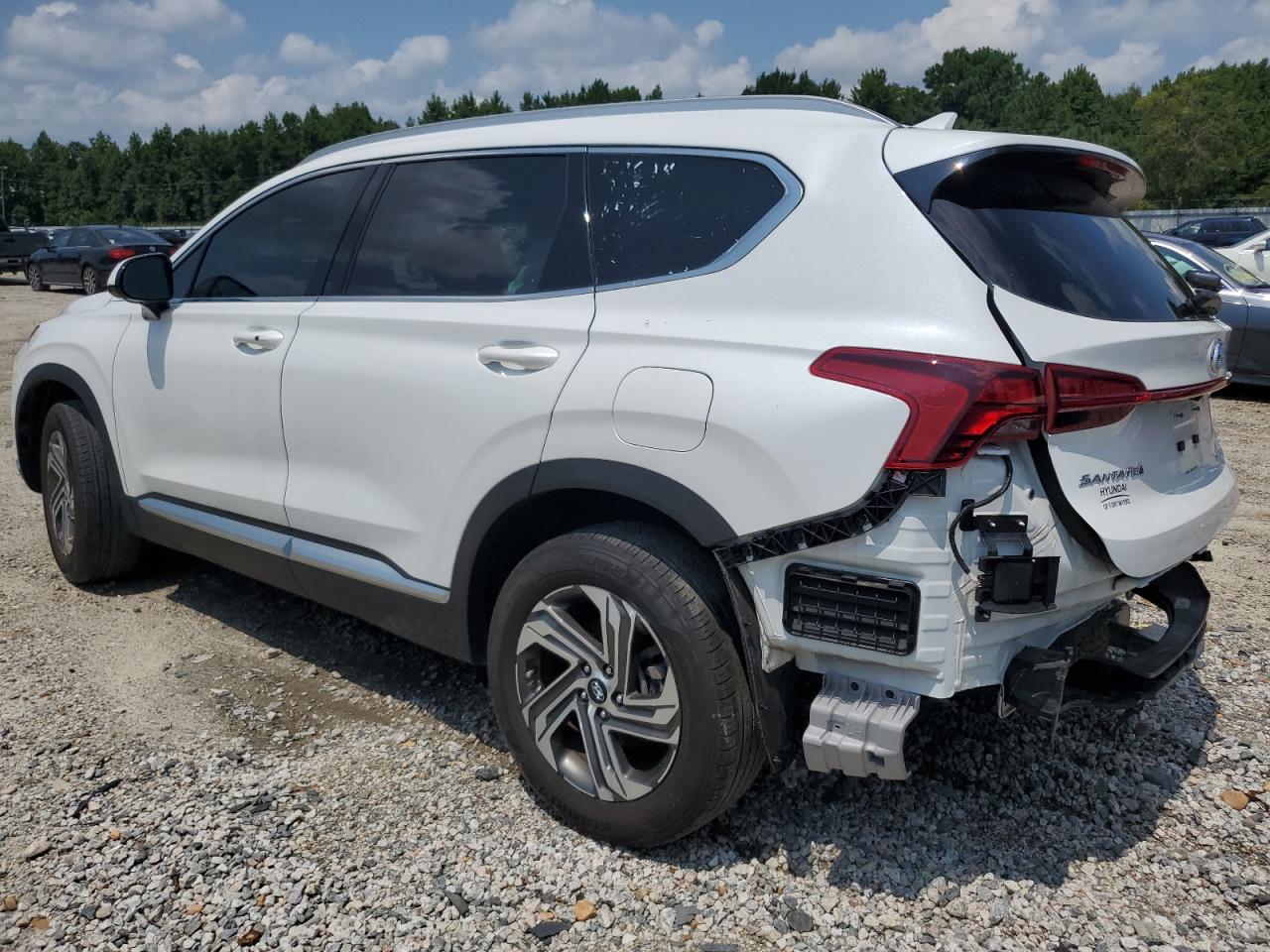 2022 Hyundai Santa Fe Sel VIN: 5NMS24AJ9NH451937 Lot: 65245244