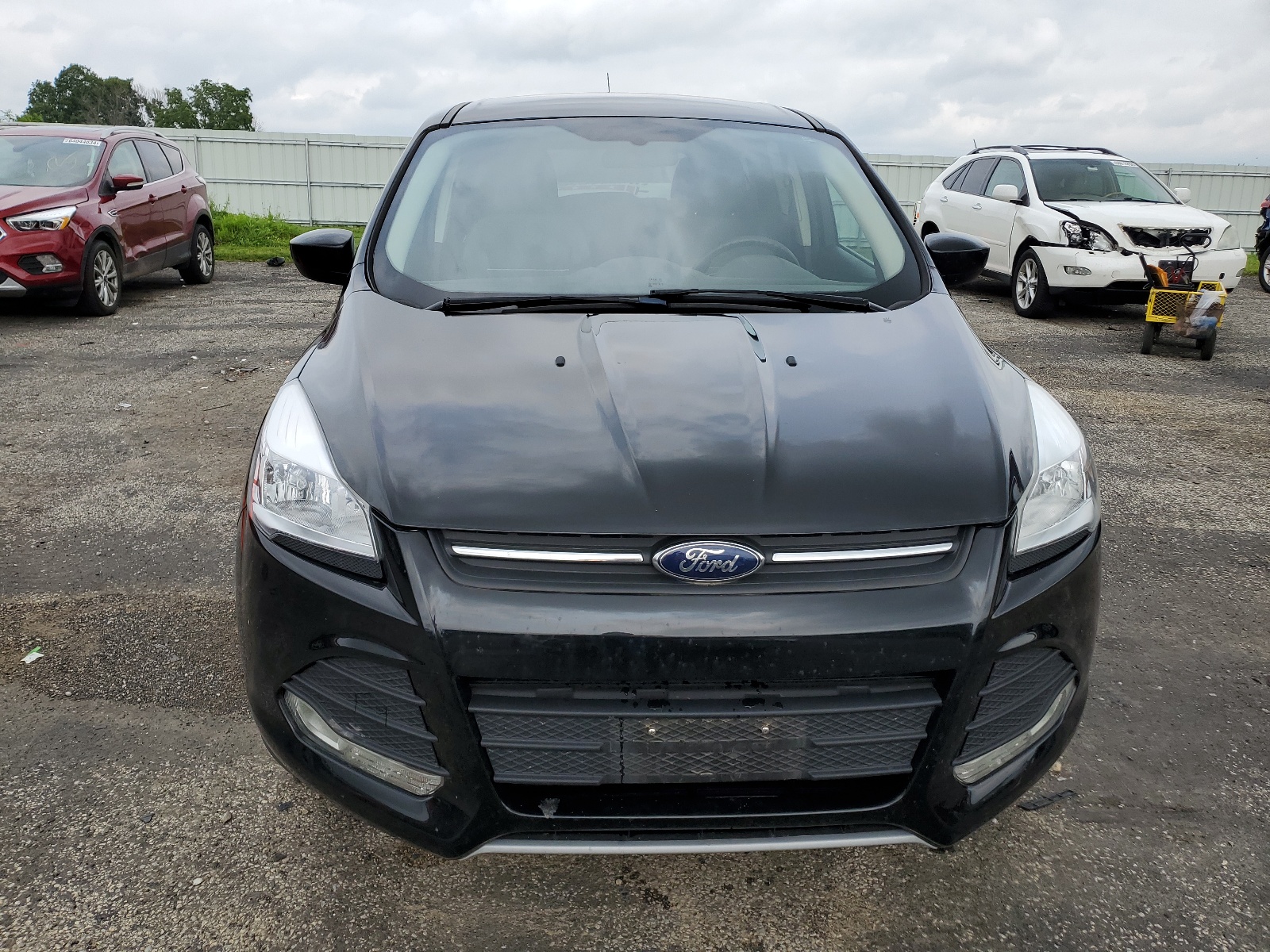 2014 Ford Escape Se vin: 1FMCU0GX3EUC38828