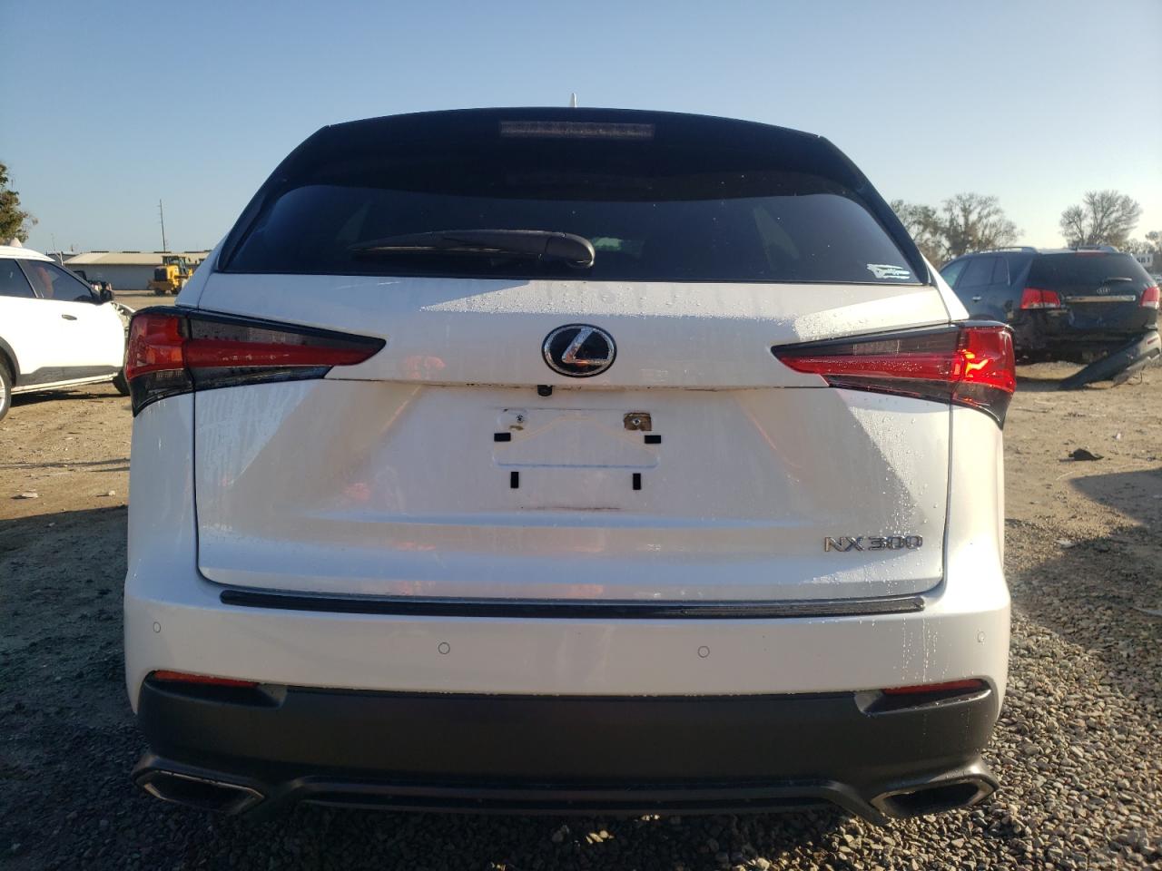 2020 Lexus Nx 300 VIN: JTJDARBZ6L5002788 Lot: 61742284