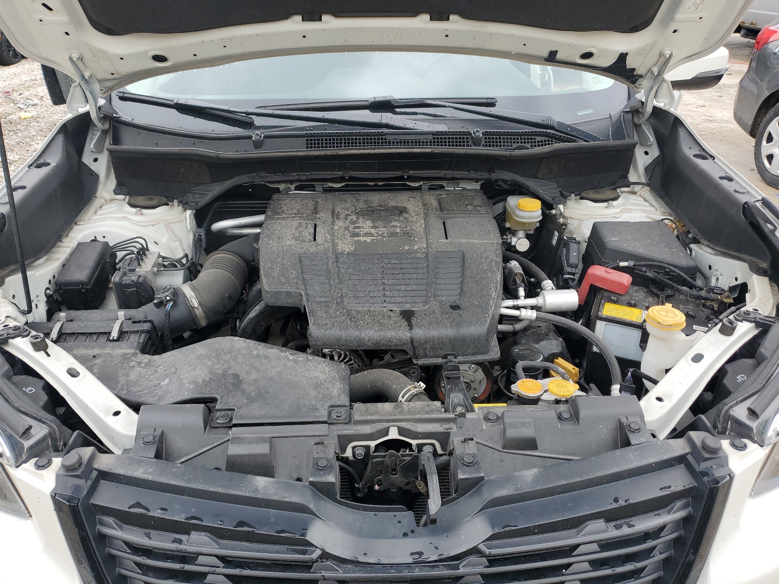 JF2SKAPC0KH511318 2019 Subaru Forester Sport