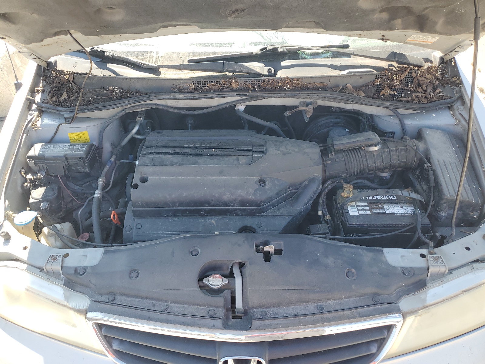 2HKRL18902H511477 2002 Honda Odyssey Exl
