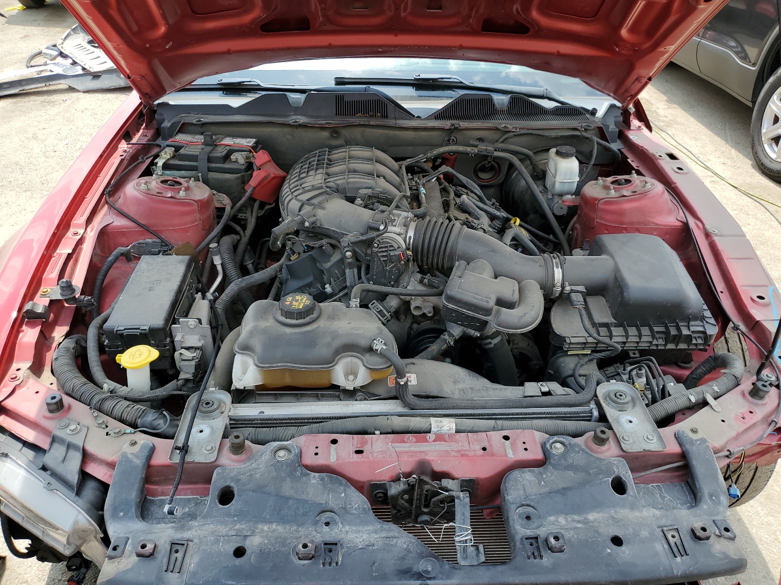 1ZVBP8AM8D5212963 2013 Ford Mustang