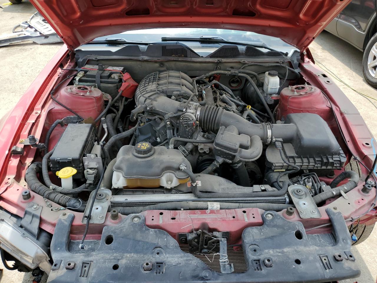 2013 Ford Mustang VIN: 1ZVBP8AM8D5212963 Lot: 64485984