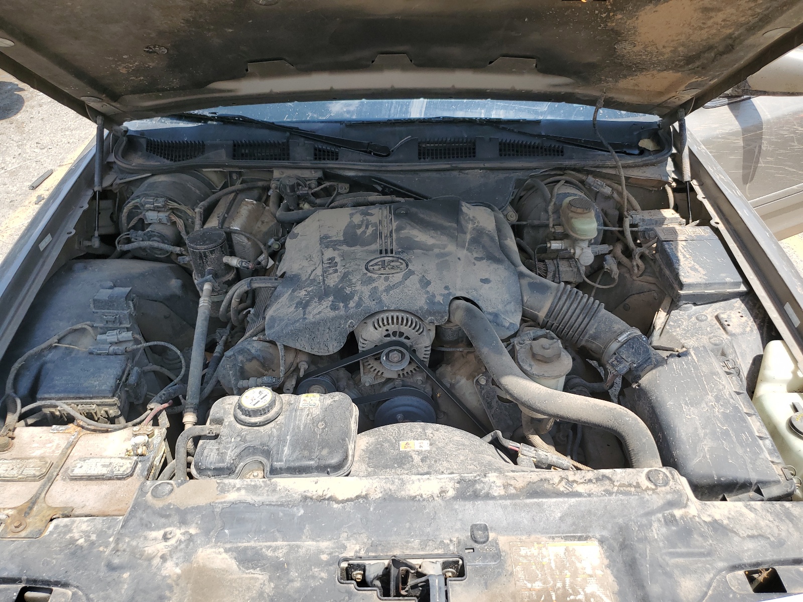 2FAFP73W21X131390 2001 Ford Crown Victoria