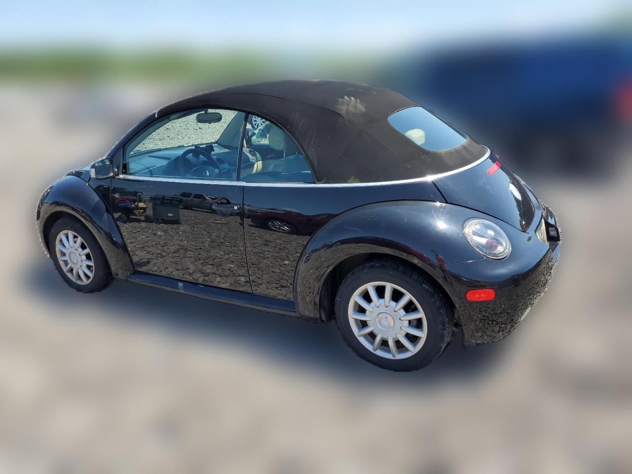 2005 Volkswagen New Beetle Gls VIN: 3VWCM31Y05M305636 Lot: 63982374