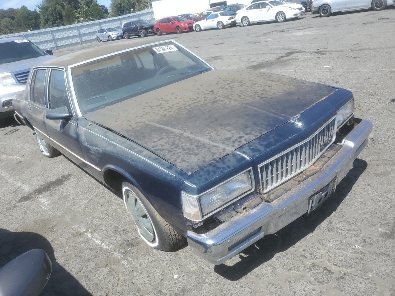 1989 Chevrolet Caprice VIN: 1G1BL51E0KR150236 Lot: 64500224