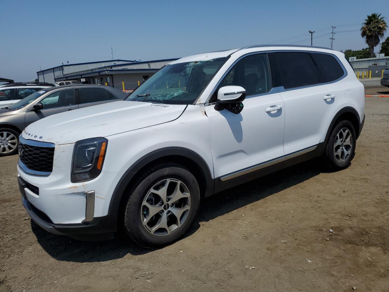 2022 Kia Telluride Ex VIN: 5XYP34HC0NG289409 Lot: 62469104