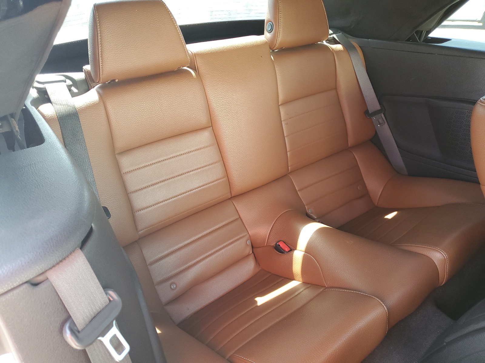 1ZVBP8EM3B5119999 2011 Ford Mustang