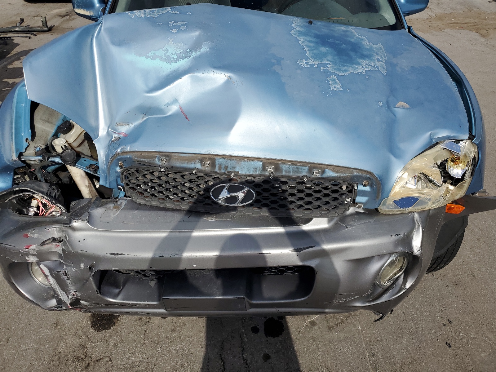 KM8SB12B44U717891 2004 Hyundai Santa Fe Gl