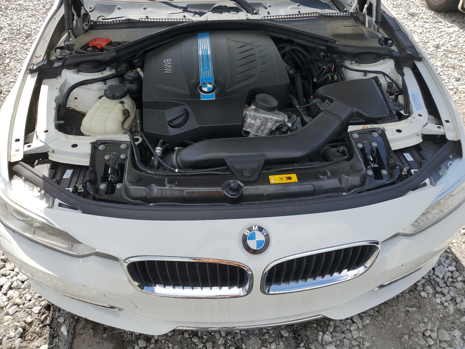 WBA3F9C52DF484311 2013 BMW Activehybrid 3