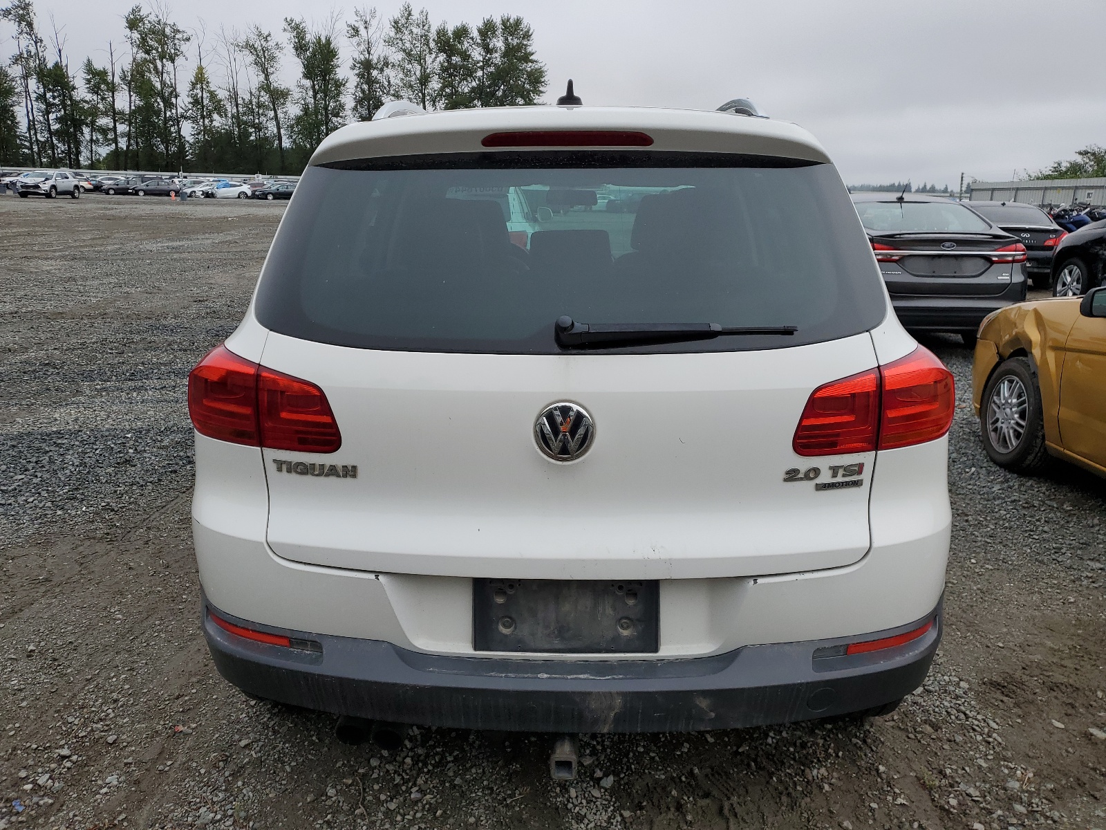 WVGBV3AX2DW076177 2013 Volkswagen Tiguan S