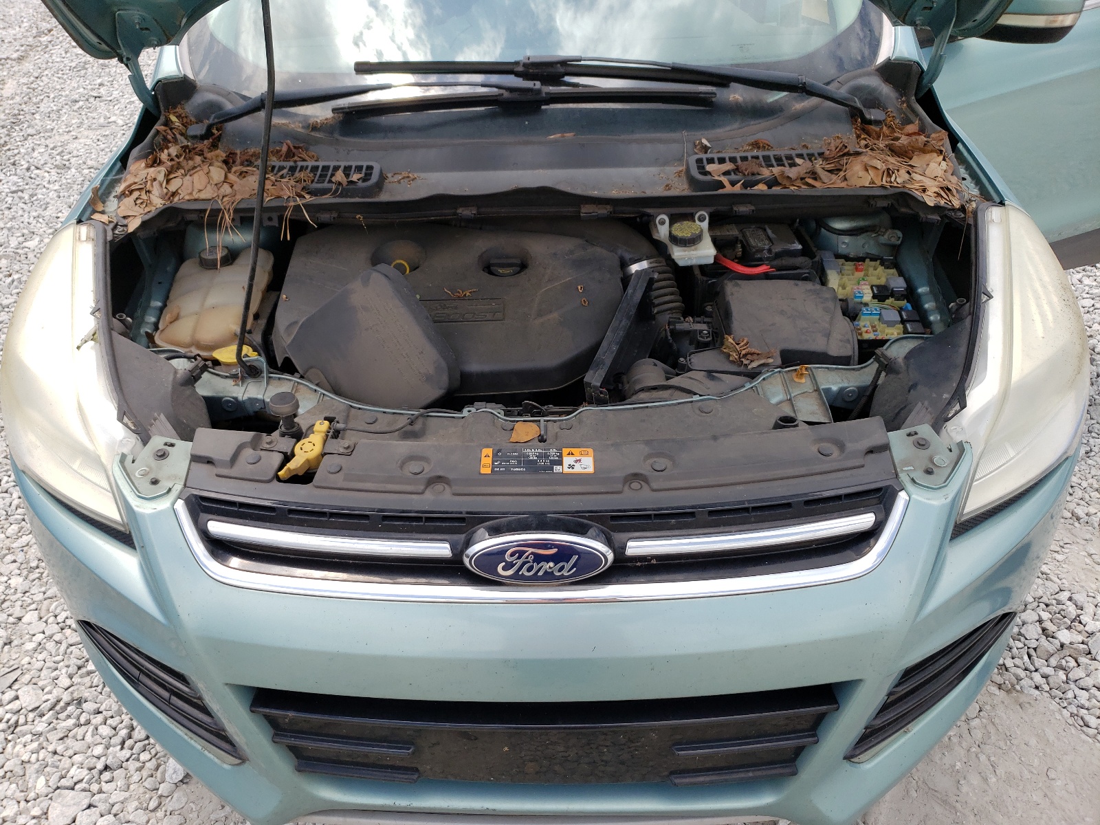 2013 Ford Escape Sel vin: 1FMCU0H92DUD71031