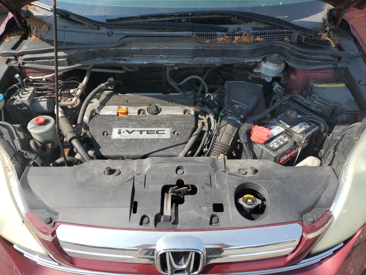 2008 Honda Cr-V Ex VIN: 5J6RE48598L016976 Lot: 65460724