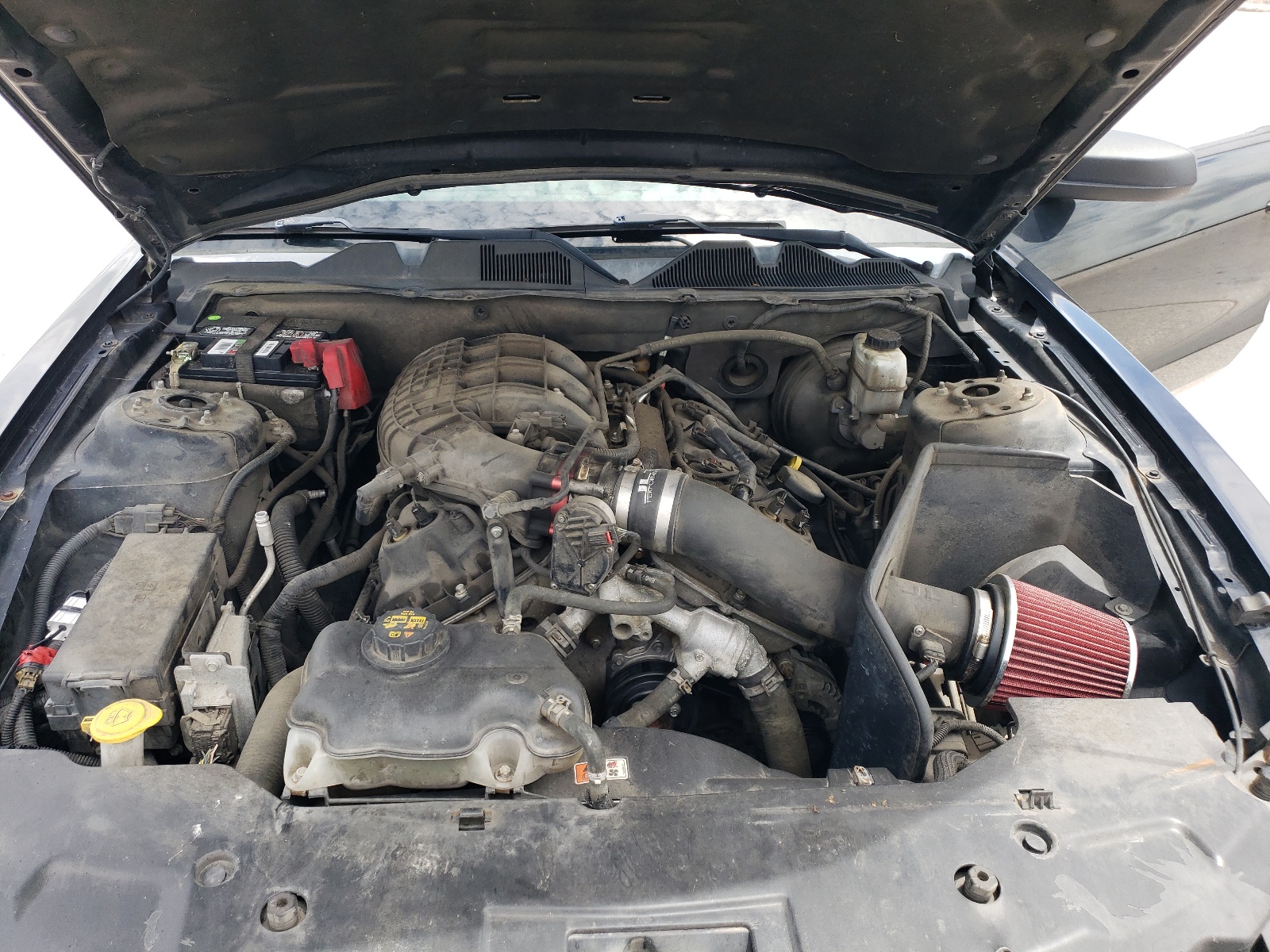 1ZVBP8AM1C5262909 2012 Ford Mustang