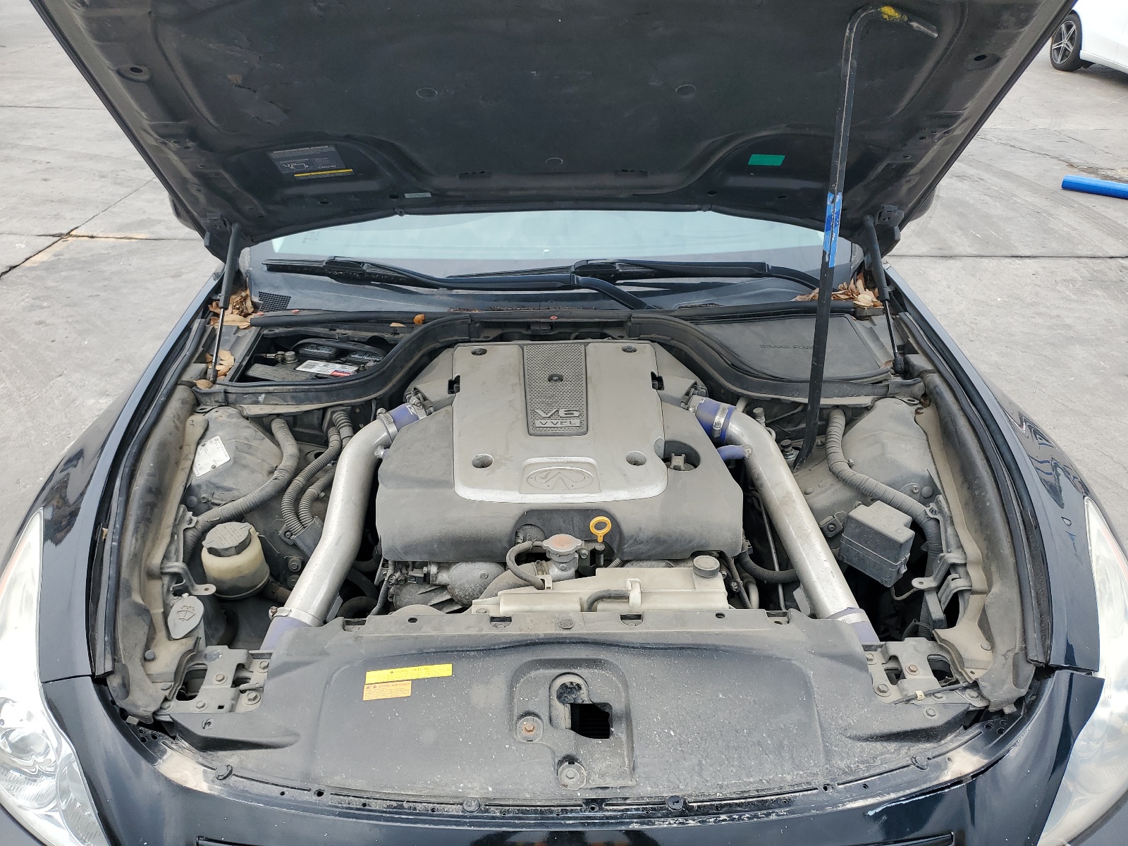 JNKCV64E68M125594 2008 Infiniti G37 Base