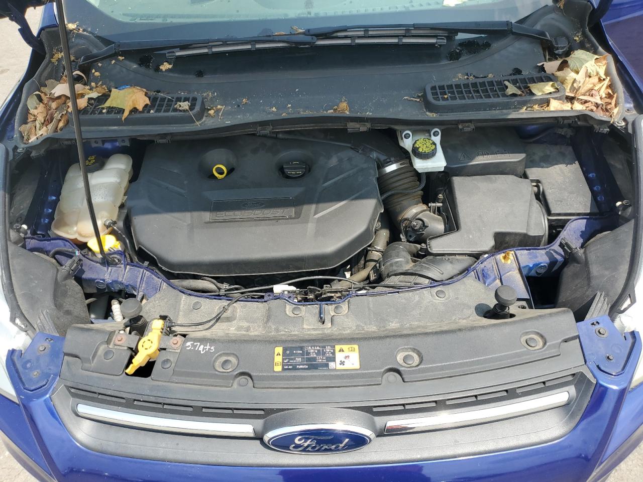 2016 Ford Escape Se VIN: 1FMCU0G91GUB74194 Lot: 64607274