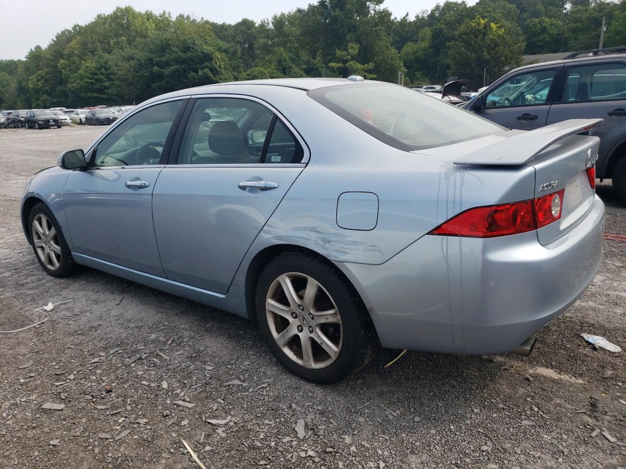 2005 Acura Tsx VIN: JH4CL96895C022542 Lot: 61501084