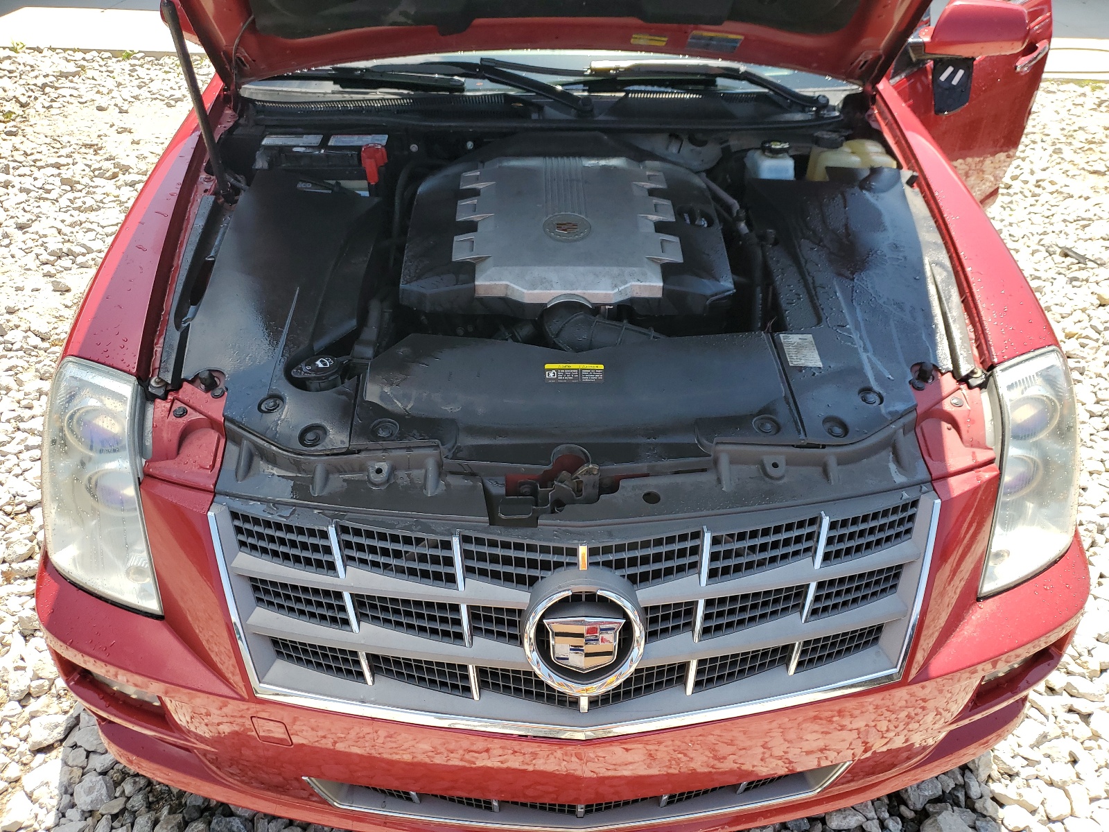 1G6DA67V890116968 2009 Cadillac Sts