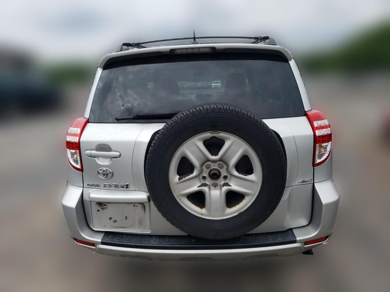 2010 Toyota Rav4 VIN: 2T3BF4DV1AW062119 Lot: 62541644