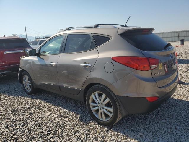  HYUNDAI TUCSON 2013 Цвет загара