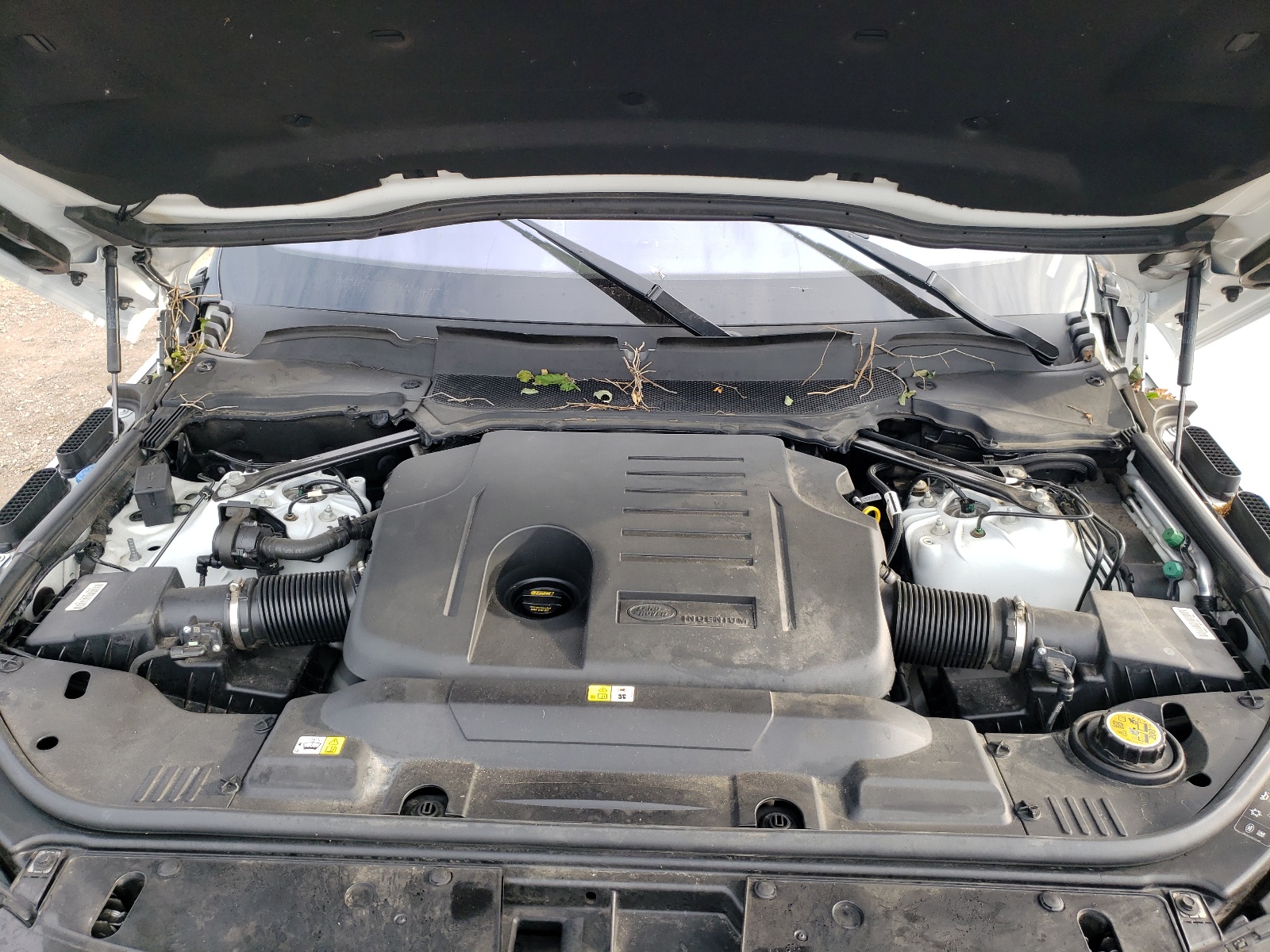 SALGS2RU1LA410520 2020 Land Rover Range Rover Hse