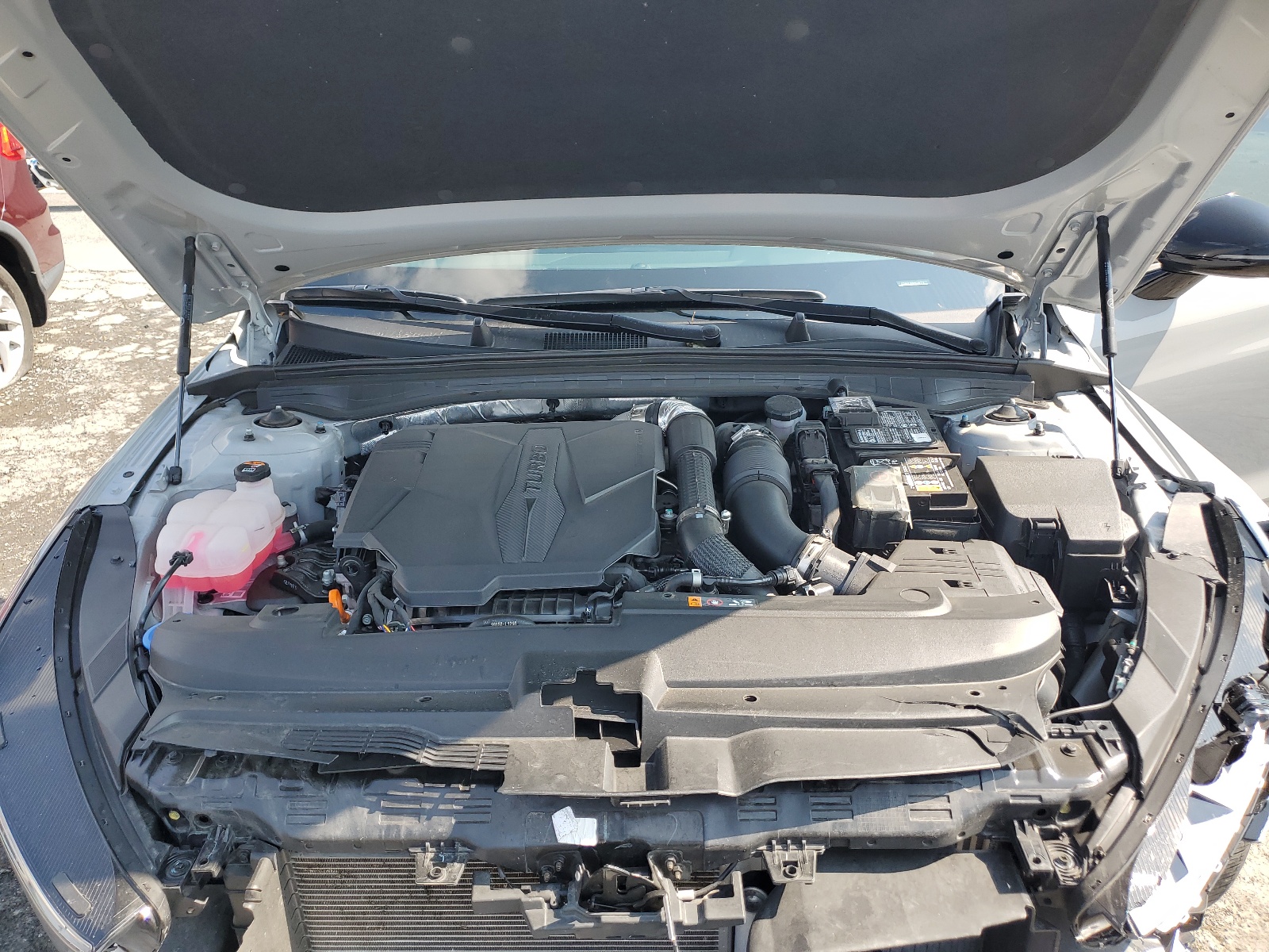 5XXG44J89RG258172 2024 Kia K5 Gt