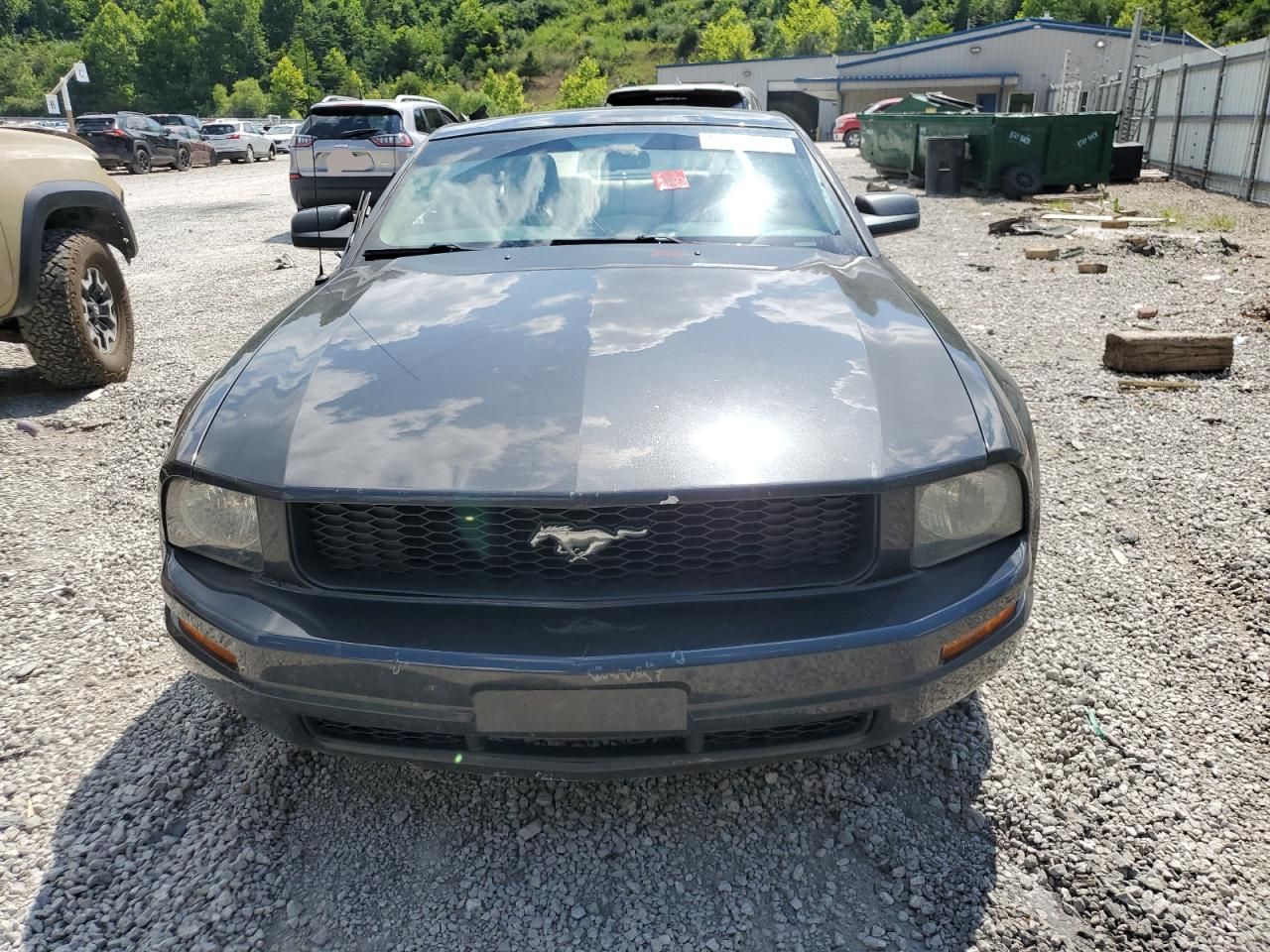 1ZVHT80N695118460 2009 Ford Mustang