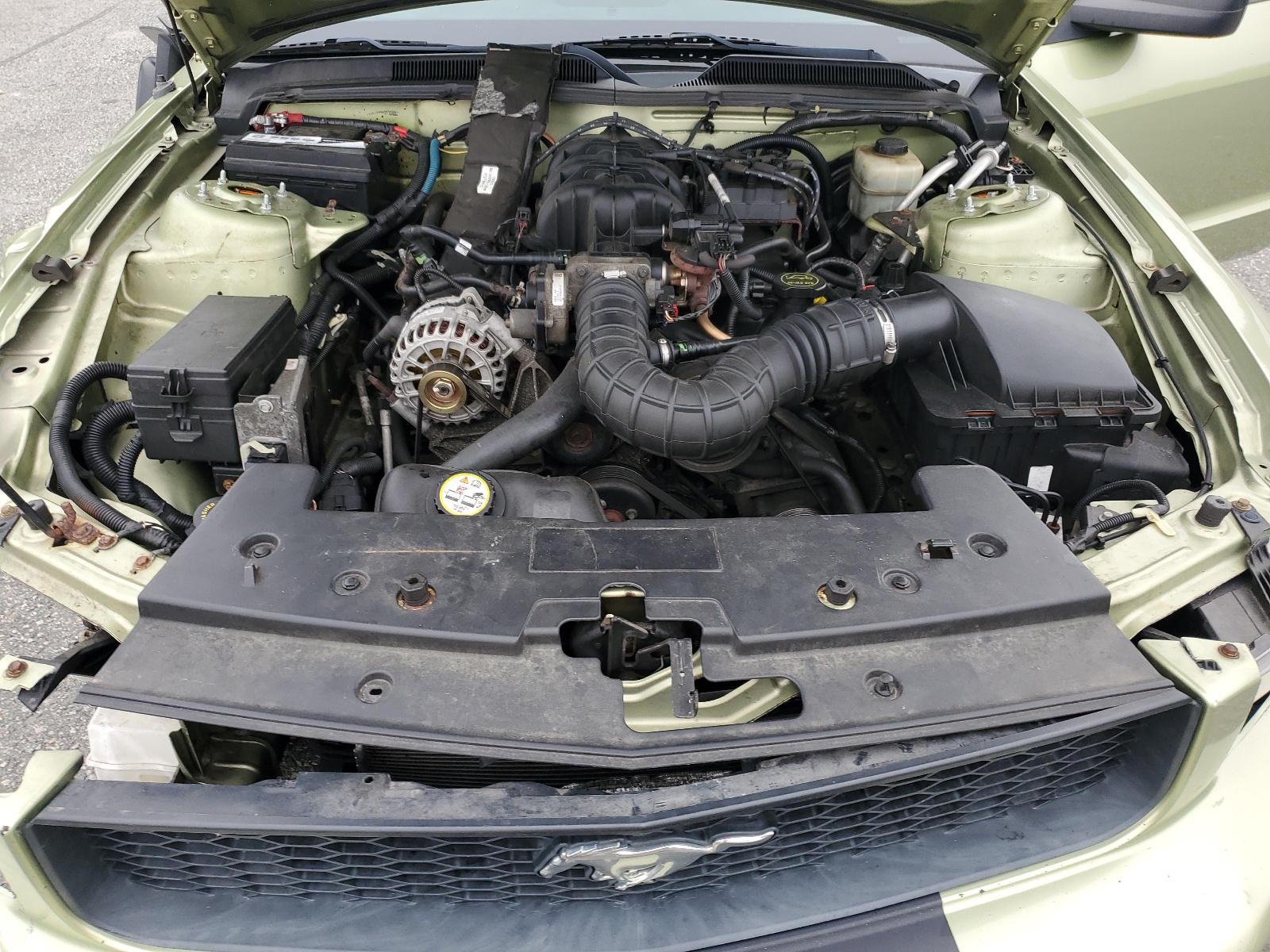 1ZVFT80N865207398 2006 Ford Mustang