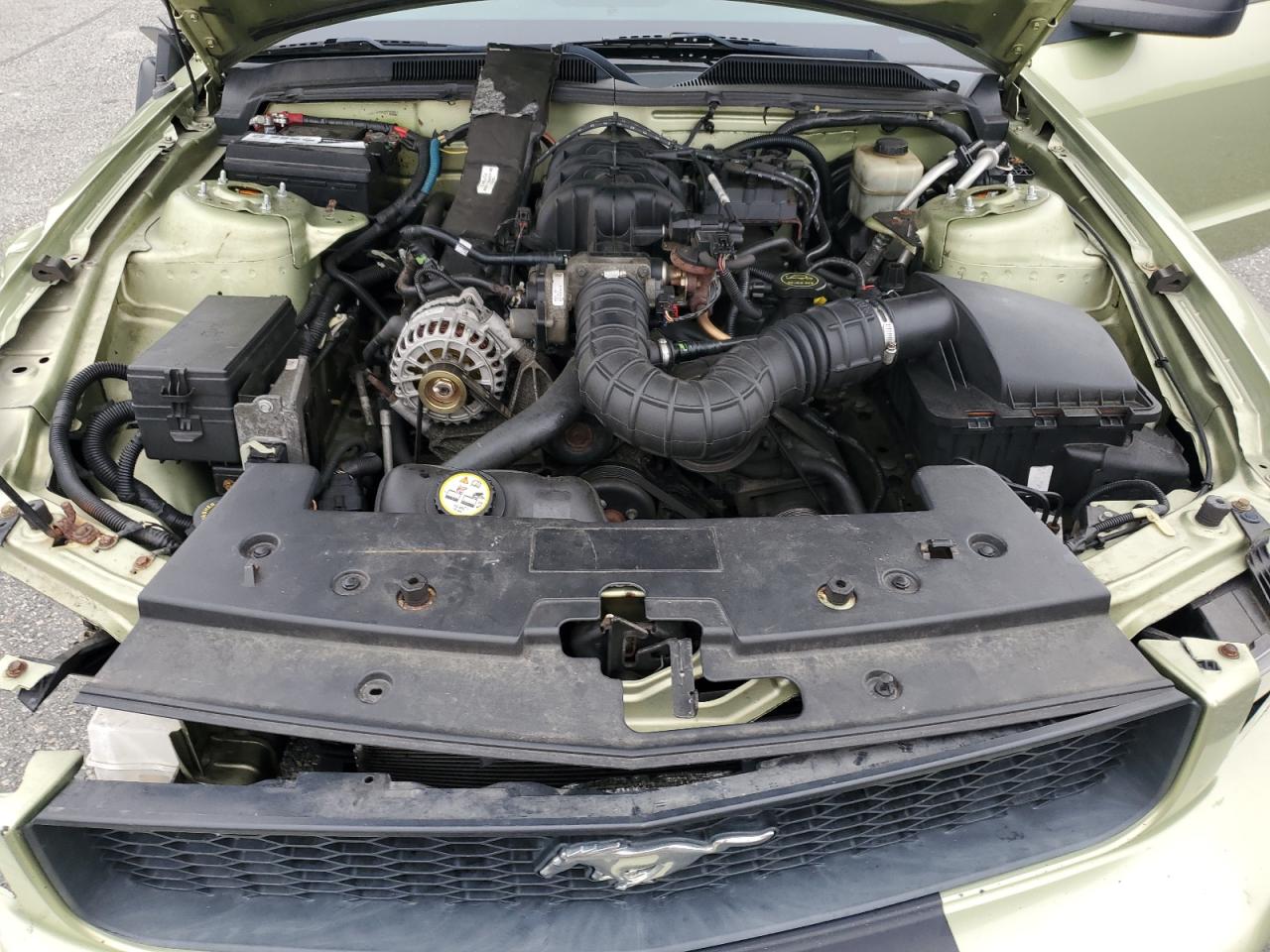 2006 Ford Mustang VIN: 1ZVFT80N865207398 Lot: 64780744