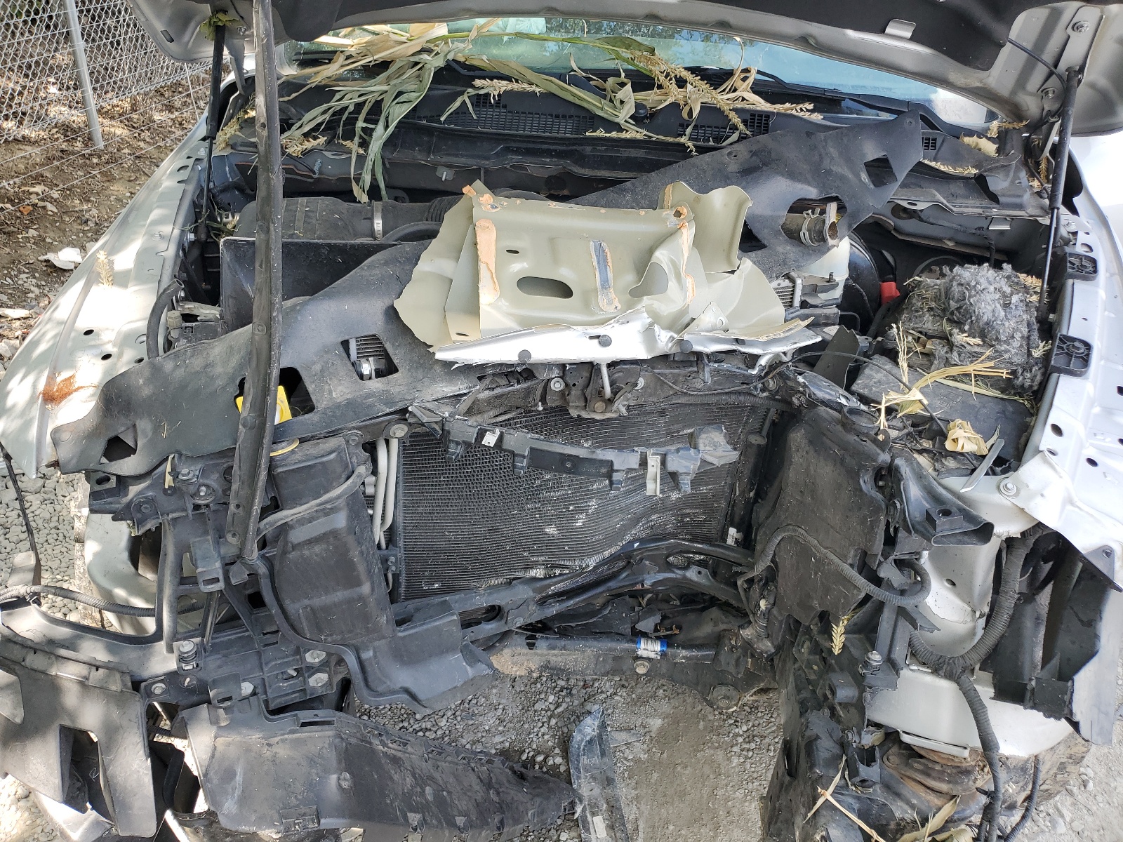 1C6RR7FT8FS656667 2015 Ram 1500 St