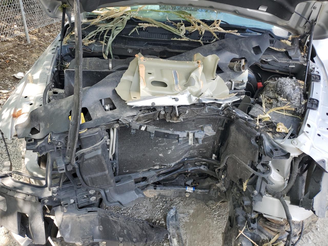 2015 Ram 1500 St VIN: 1C6RR7FT8FS656667 Lot: 63624324