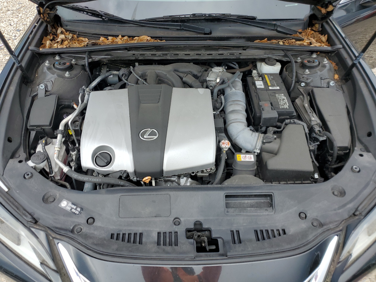 58ABZ1B17KU041901 2019 Lexus Es 350