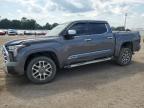 2022 Toyota Tundra Crewmax Platinum на продаже в Newton, AL - All Over