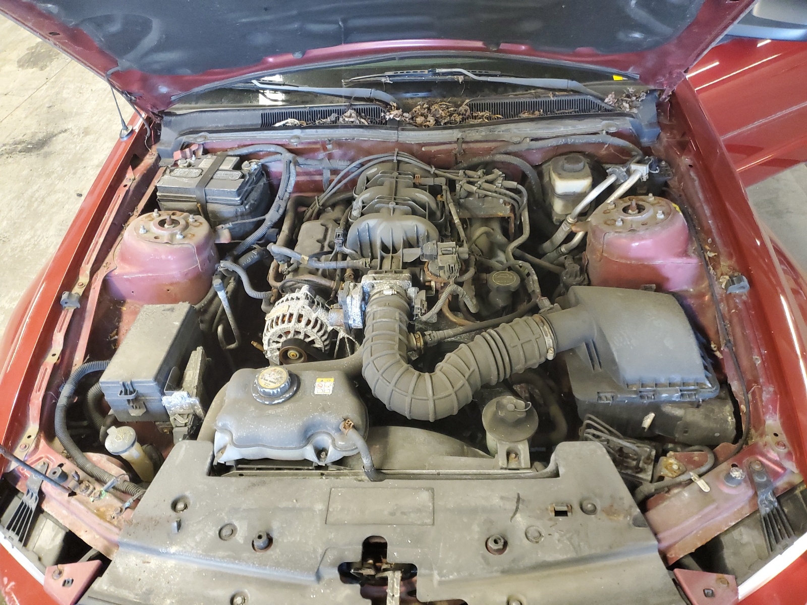 1ZVHT80N685201076 2008 Ford Mustang