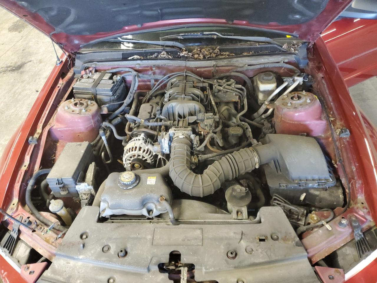 2008 Ford Mustang VIN: 1ZVHT80N685201076 Lot: 64102734