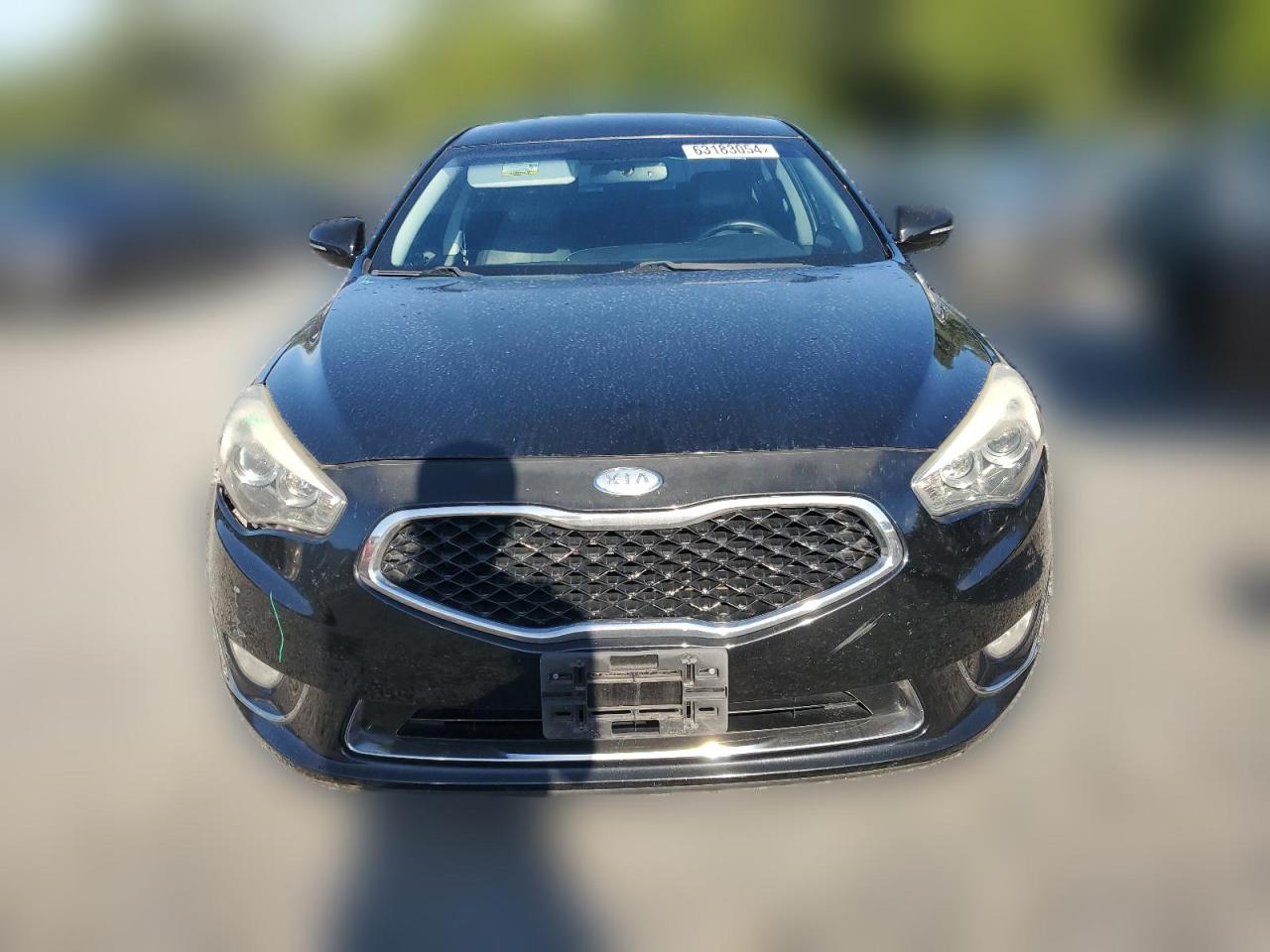 2014 Kia Cadenza Premium VIN: KNALN4D73E5129788 Lot: 63183054