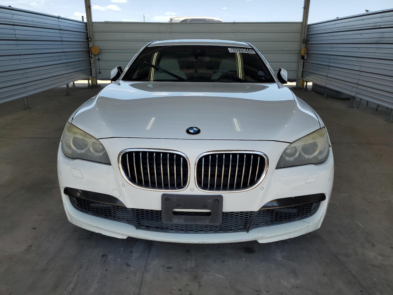 2013 BMW 750 Li VIN: WBAYE8C51DD132187 Lot: 60220044