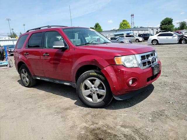 2011 Ford Escape Xlt VIN: 1FMCU9DG8BKB82675 Lot: 61559904