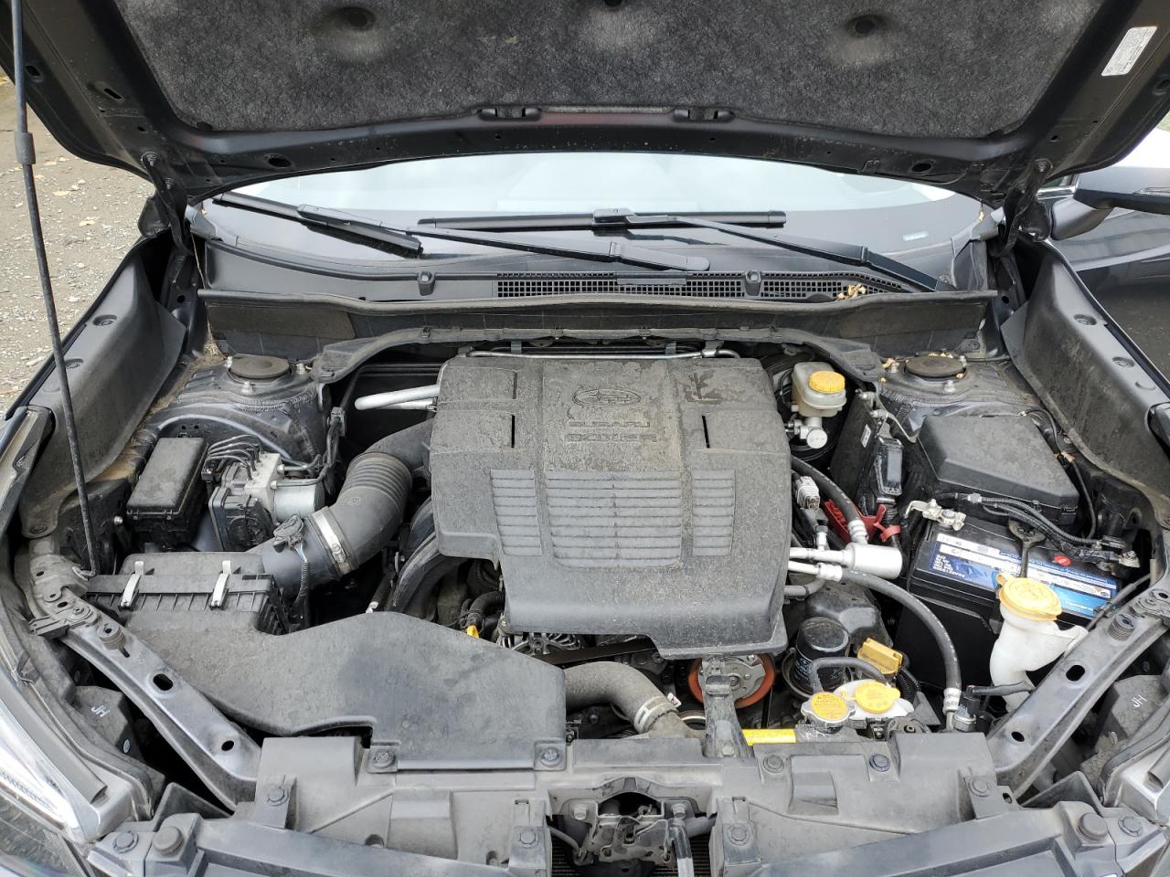 2019 Subaru Forester Touring VIN: JF2SKAWC8KH437471 Lot: 64666734