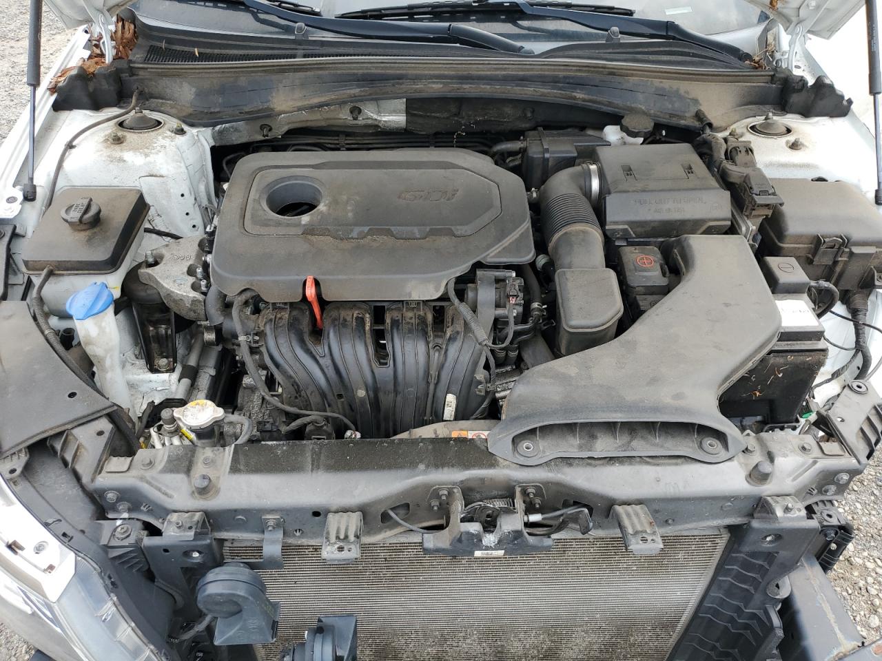 2019 Kia Optima Lx VIN: 5XXGT4L34KG337498 Lot: 63130394