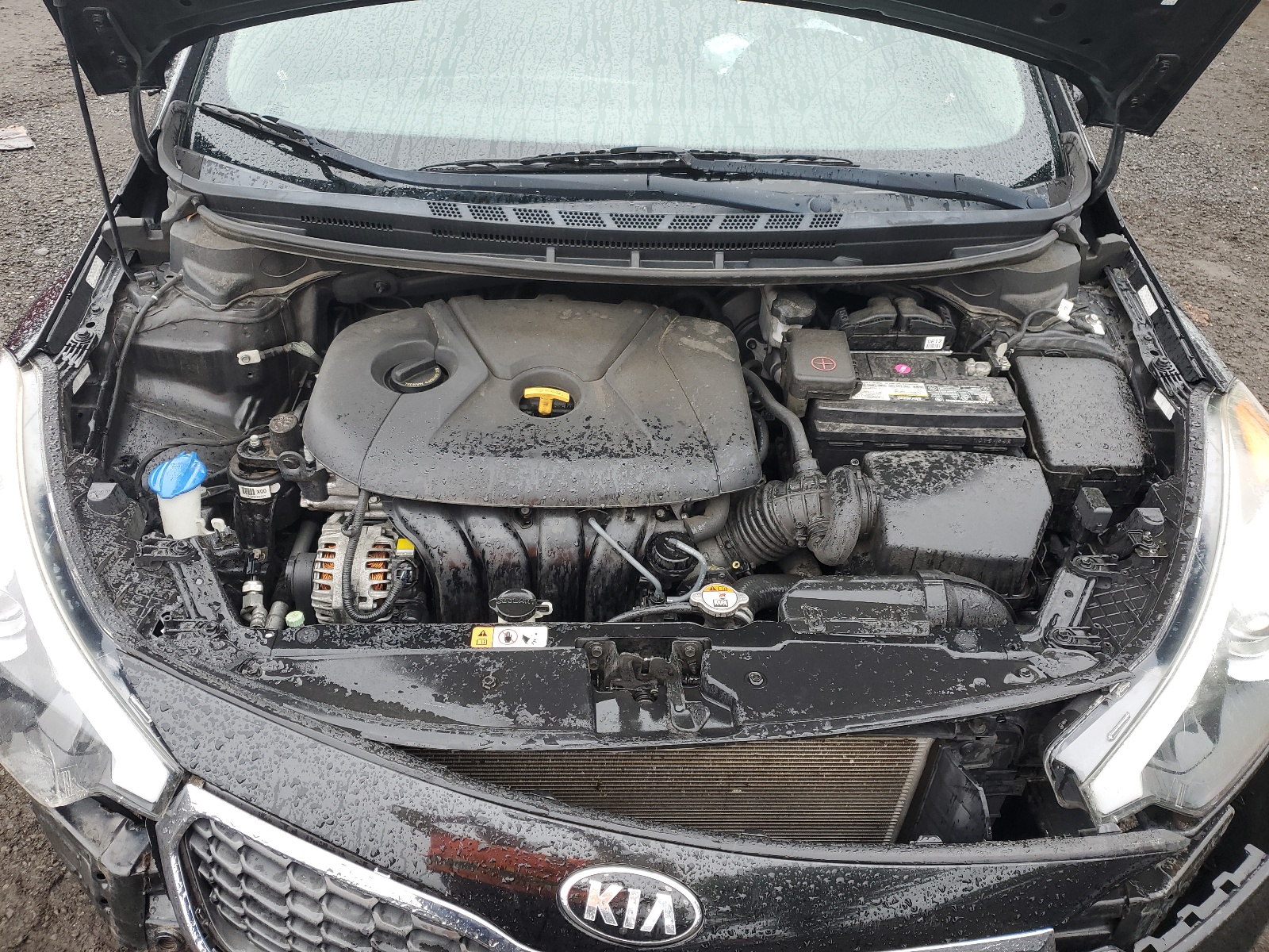 KNAFK4A63G5615165 2016 Kia Forte Lx