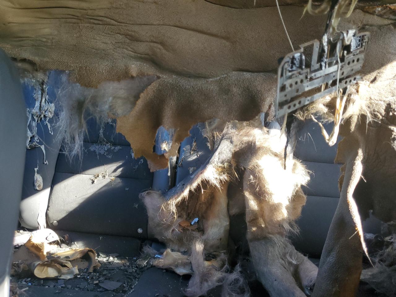 2019 Mazda Cx-5 Touring VIN: JM3KFACM5K0544788 Lot: 62656774